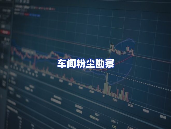 专业团队